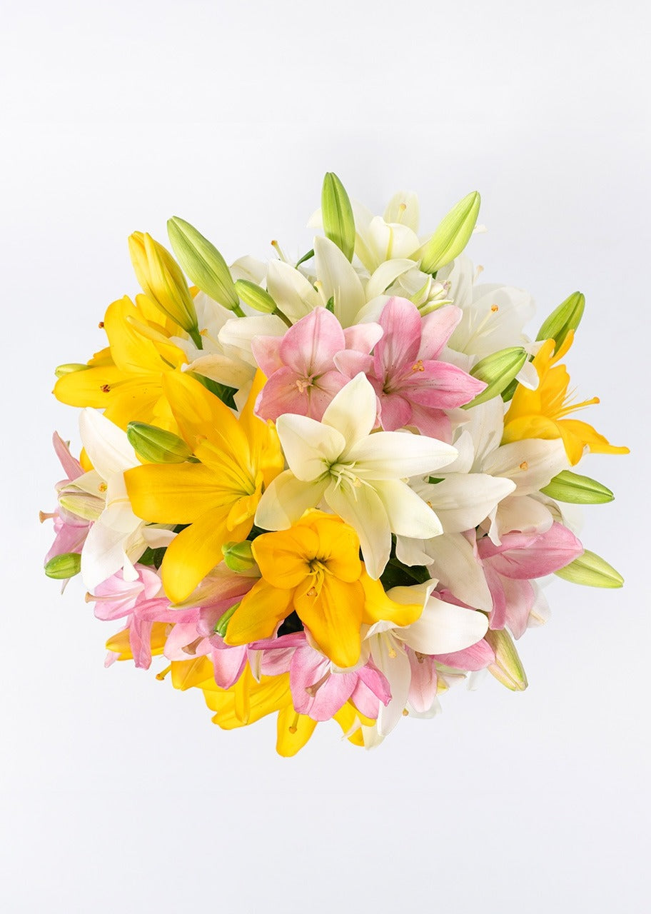 15 lilys coloridas en jarrón