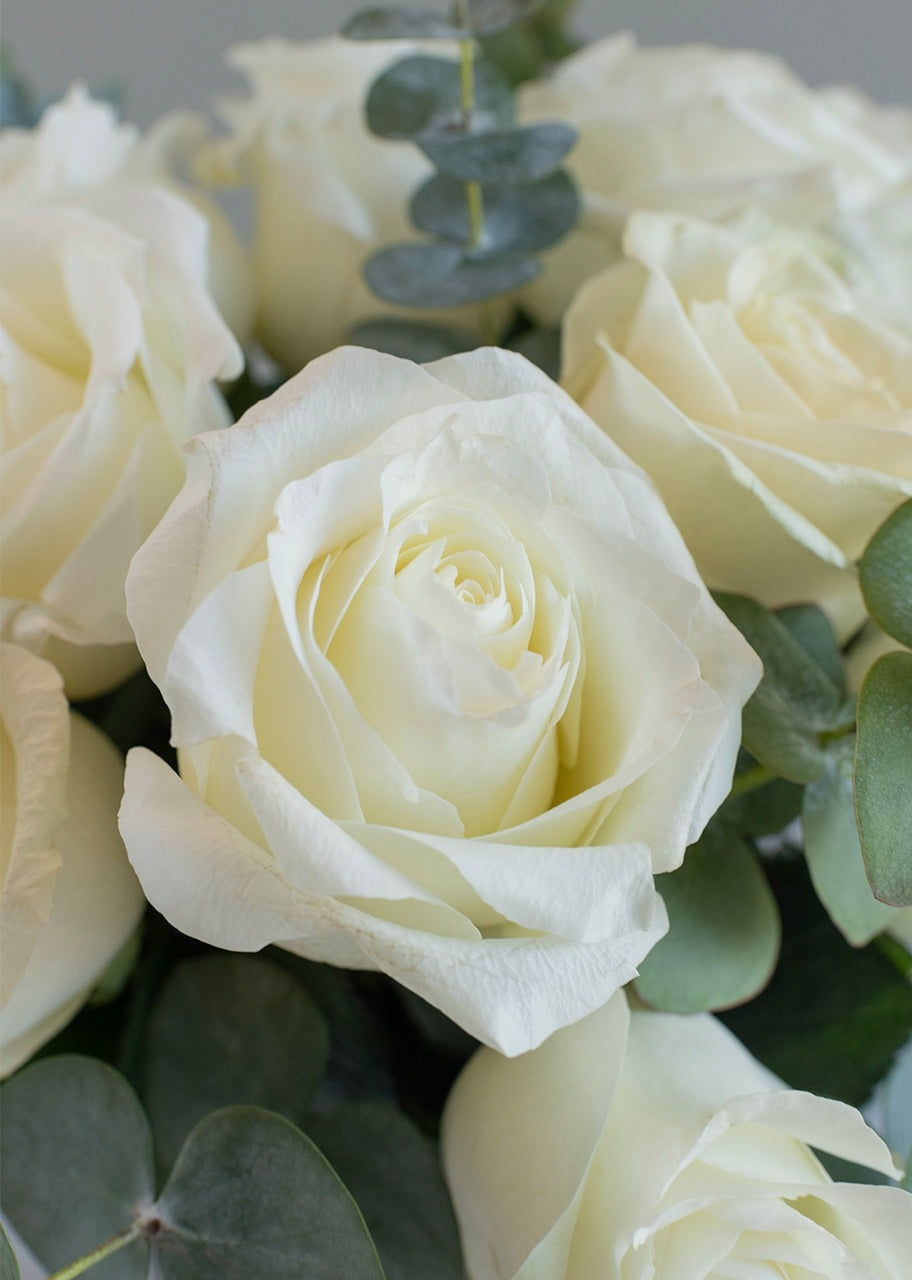 12 rosas blancas en jarrón