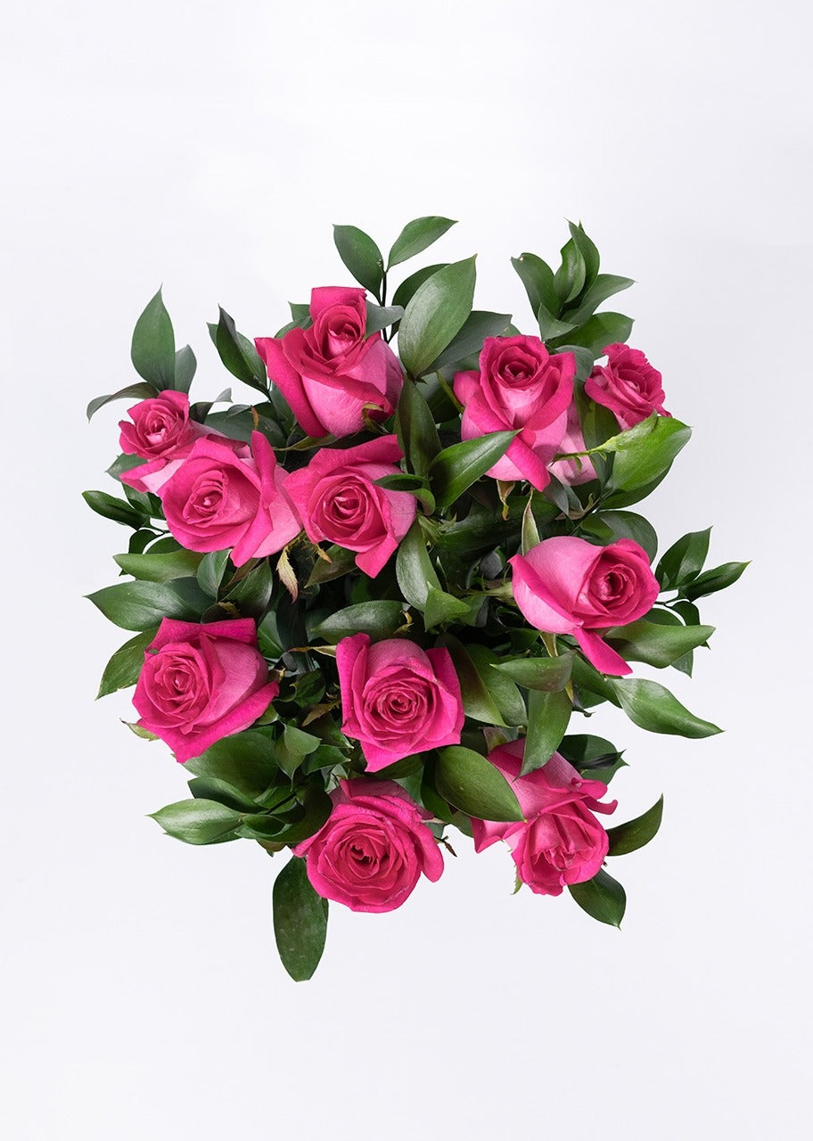 12 rosas fucsia en jarrón