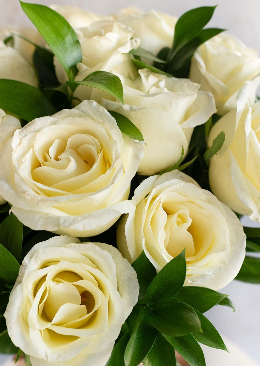 18 rosas blancas en jarrón