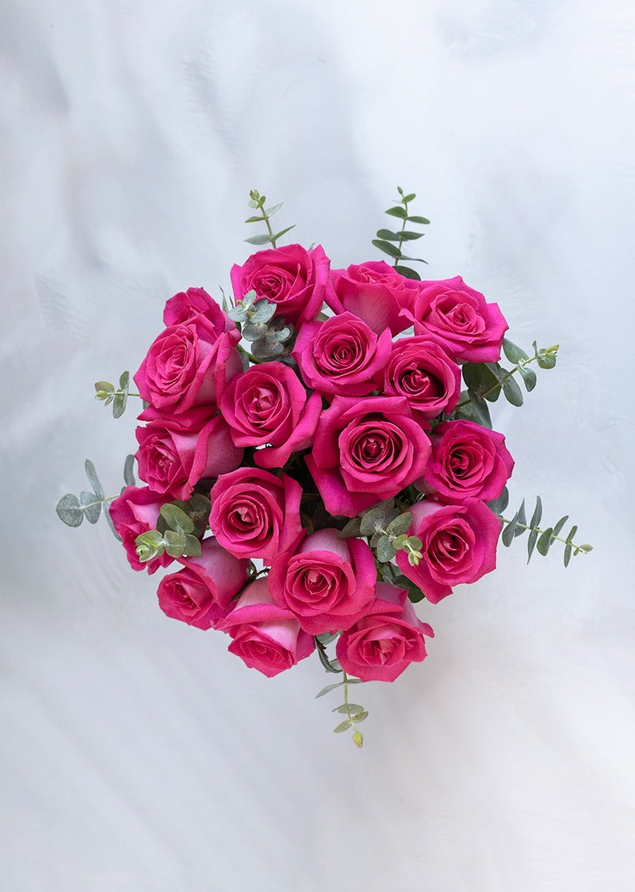 18 rosas fucsia en jarrón