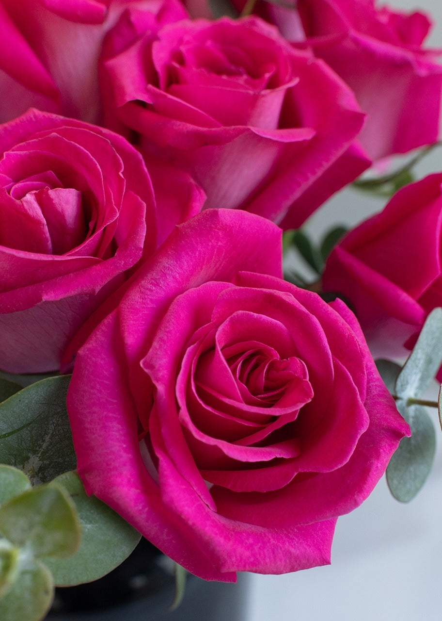 18 rosas fucsia en jarrón
