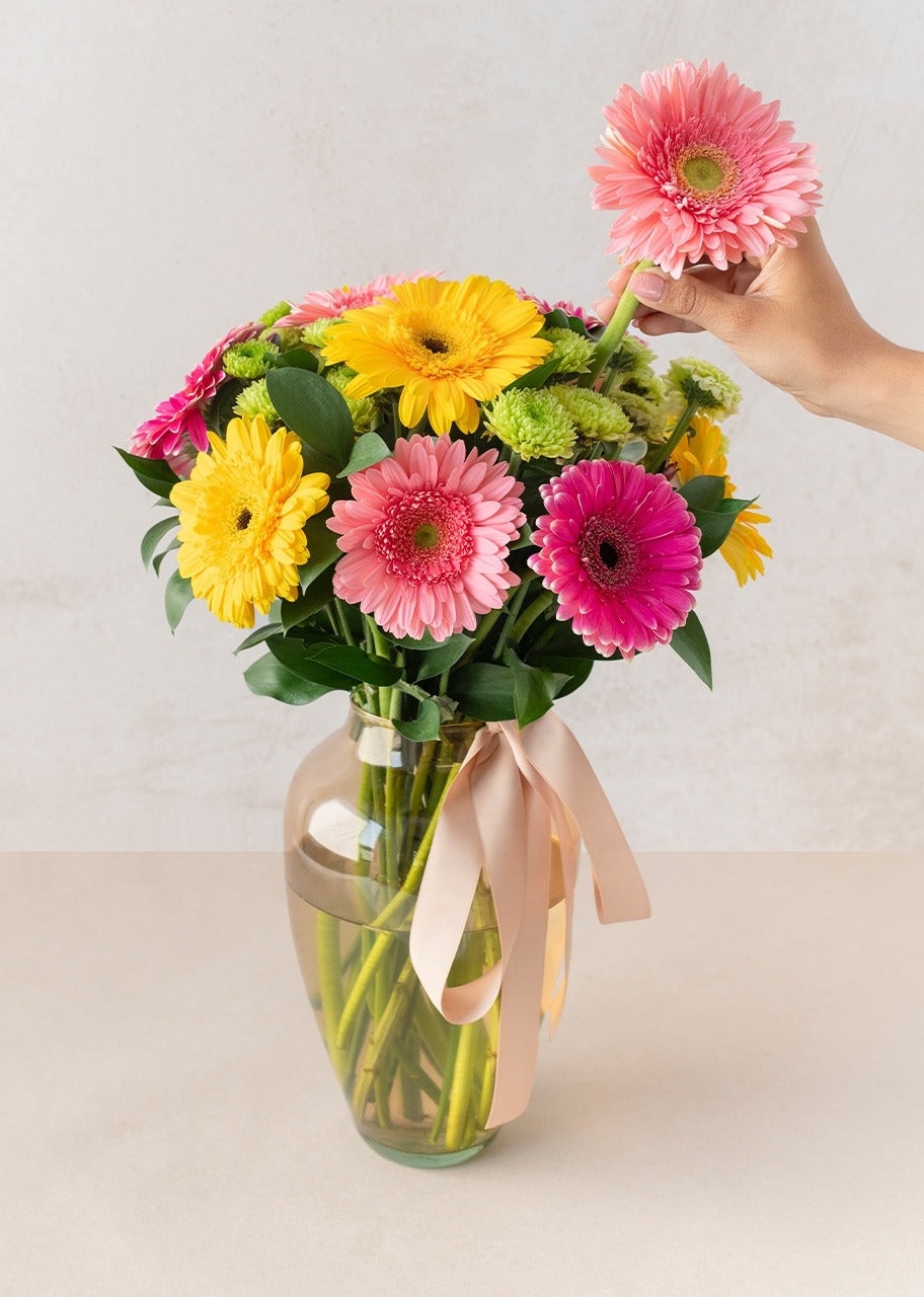 12 gerberas coloridas en jarrón