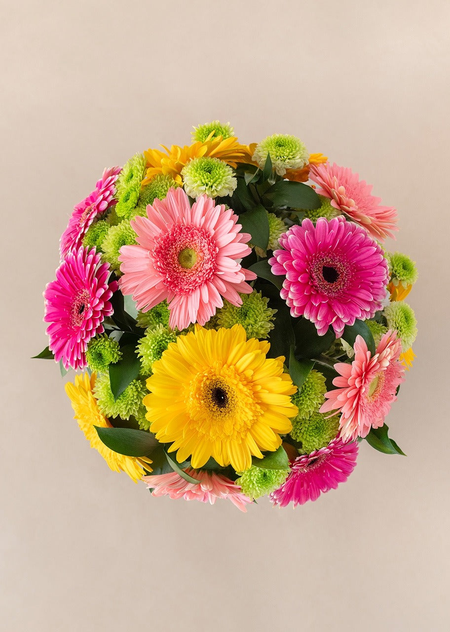 12 gerberas coloridas en jarrón