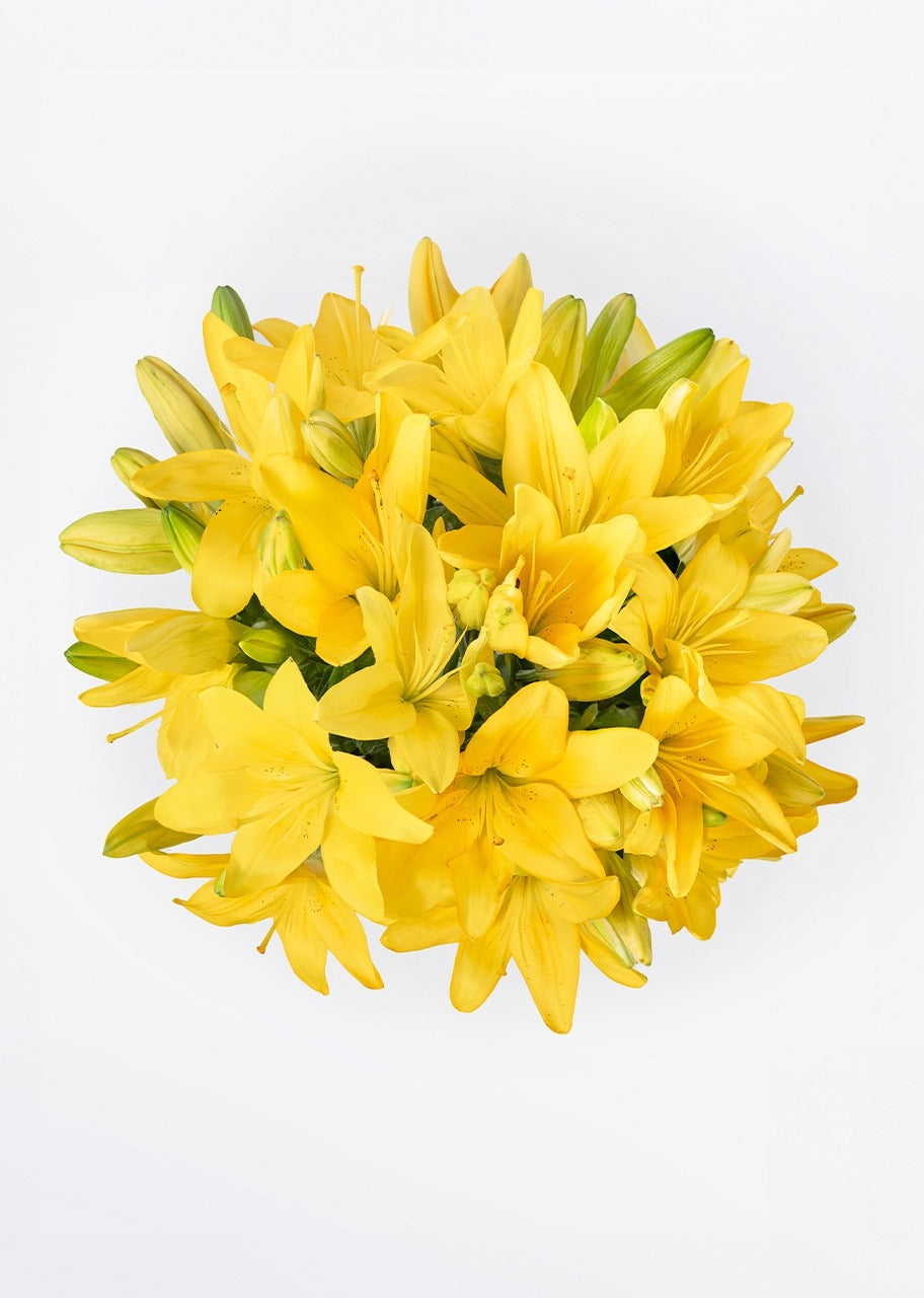 15 lilys amarillas en jarrón