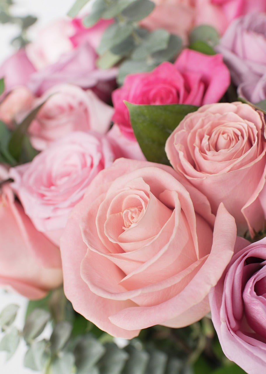 50 rosas rosas y lila en jarrón