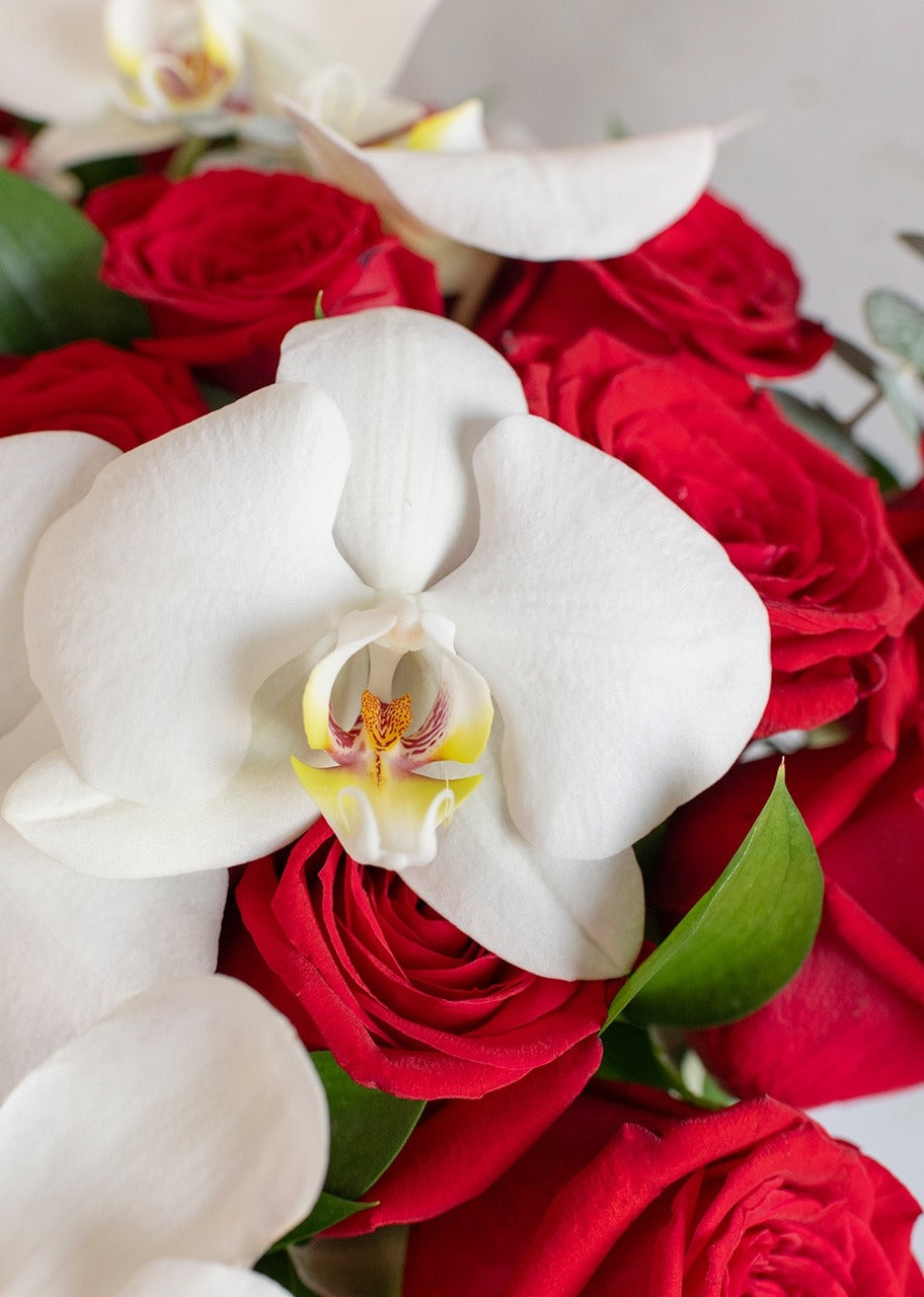 24 rosas rojas y orquídea en jarrón