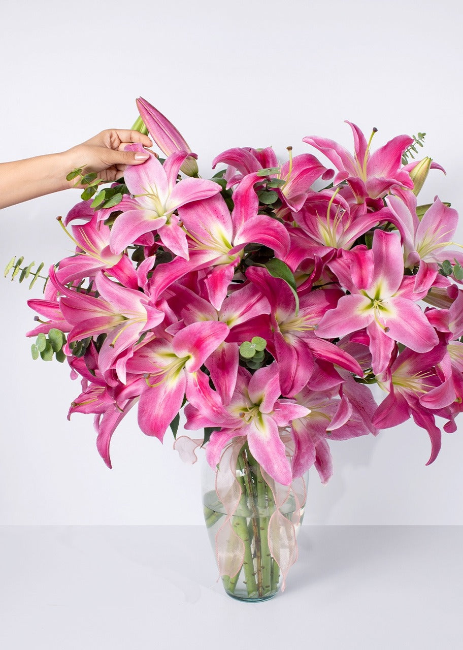 10 stargazer rosas en jarrón