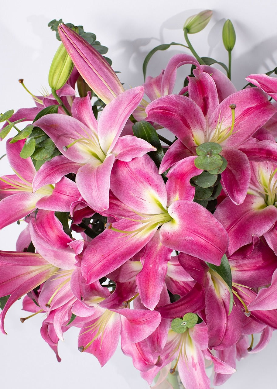 10 stargazer rosas en jarrón