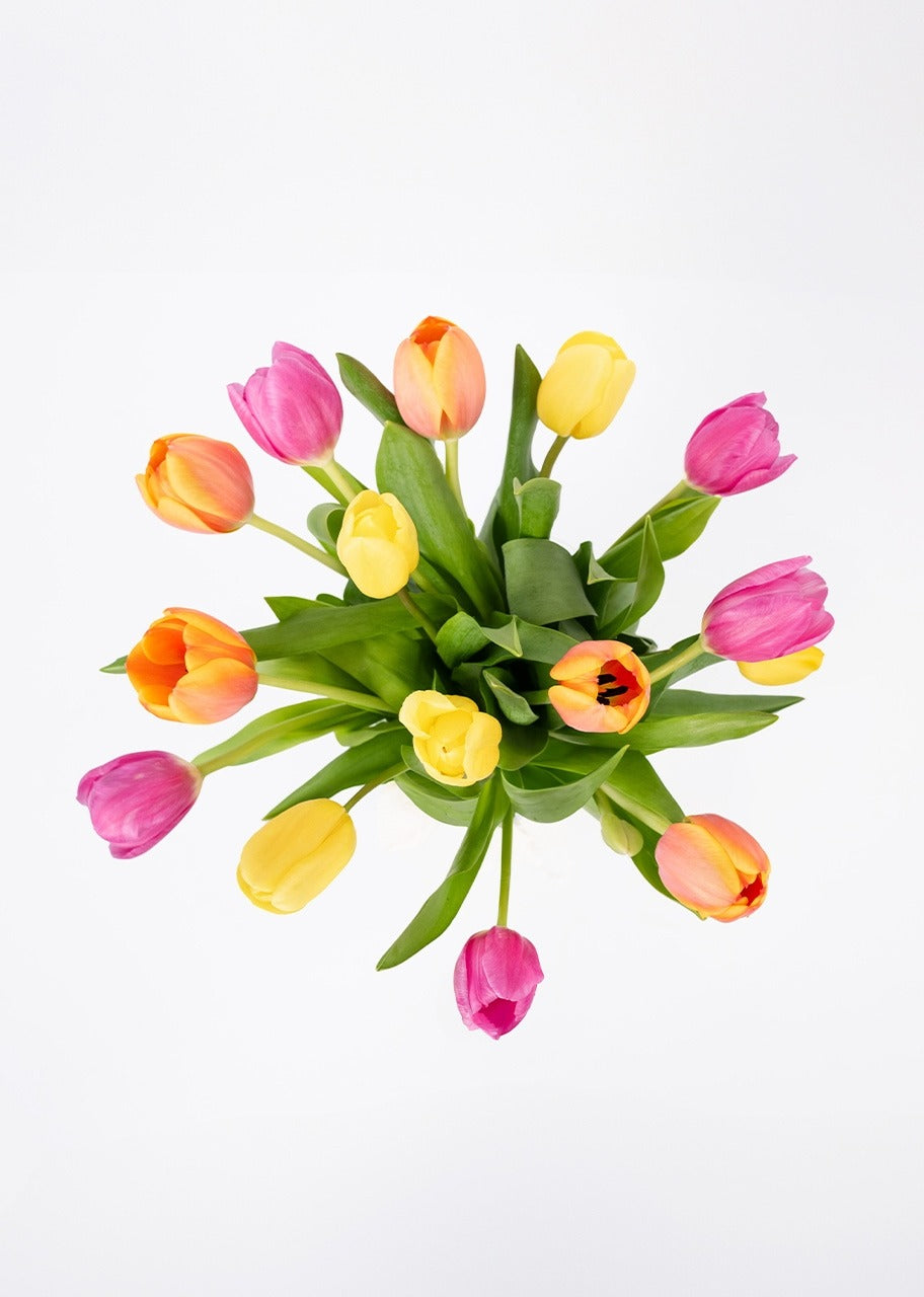 15 tulipanes coloridos en jarrón