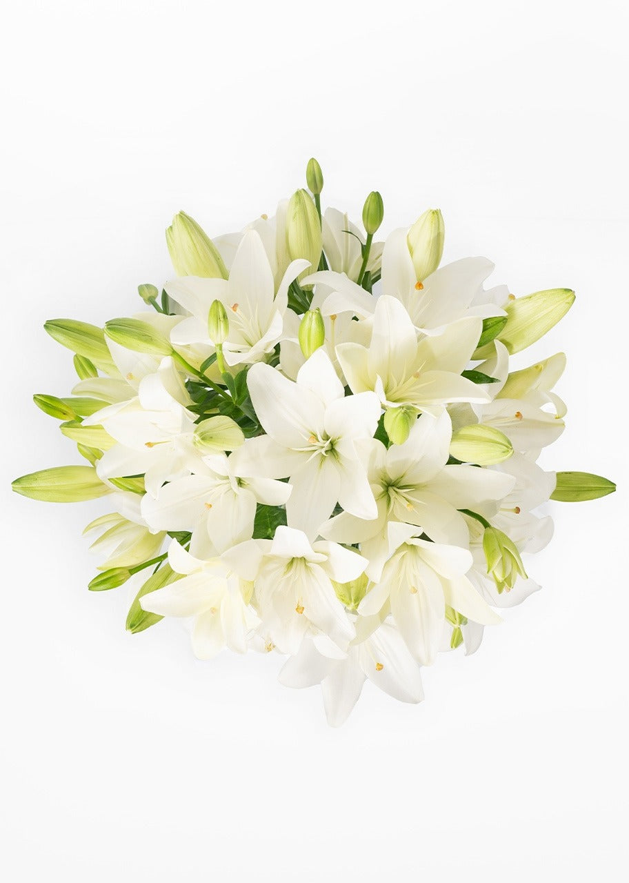 15 lilys blancas en jarrón