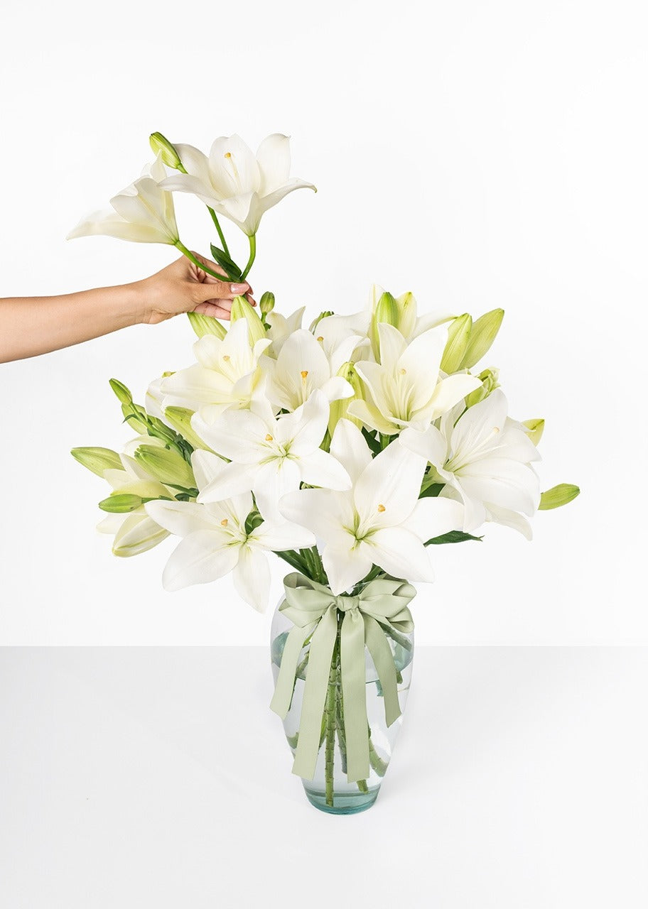 15 lilys blancas en jarrón