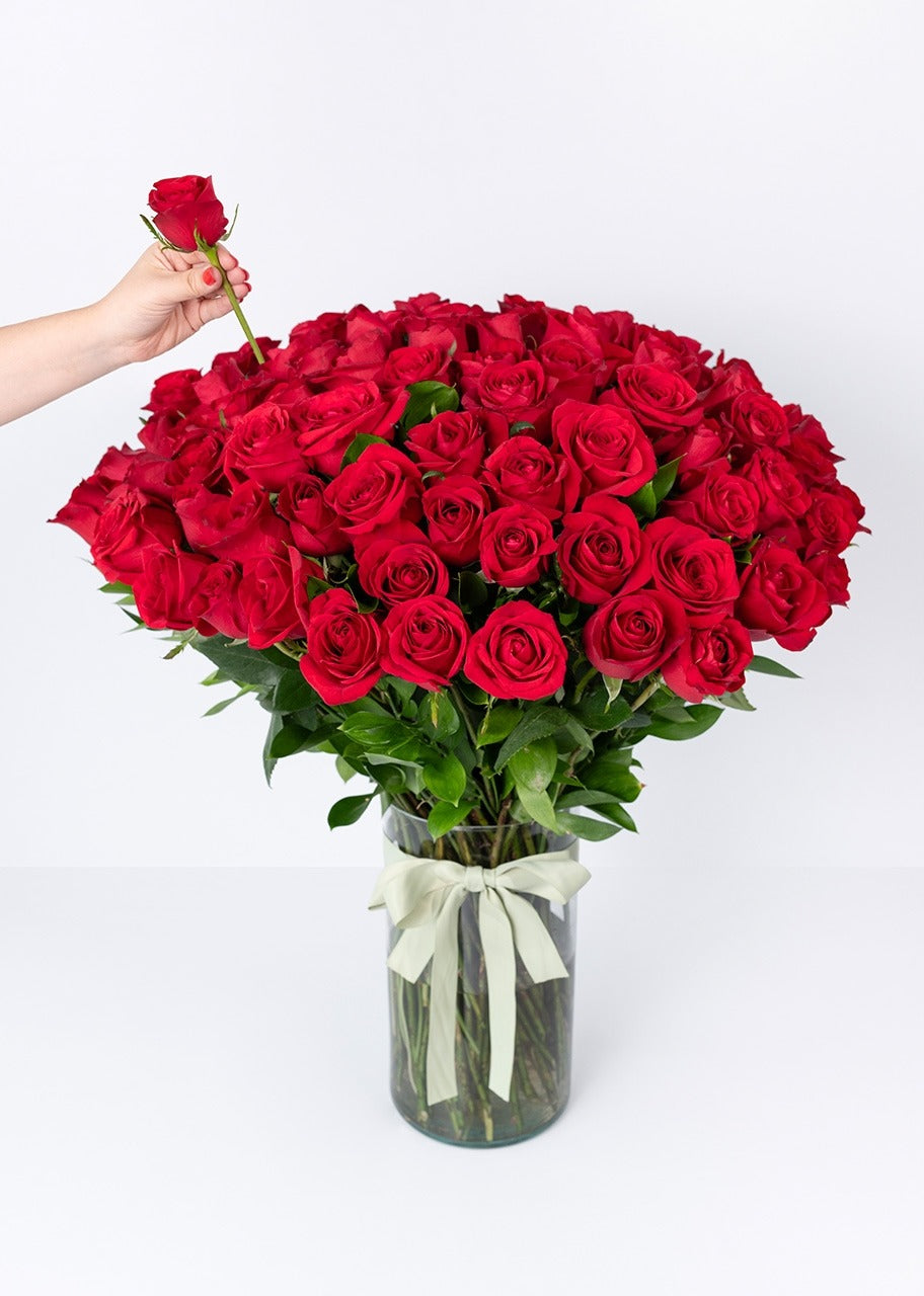 100 rosas rojas en jarrón
