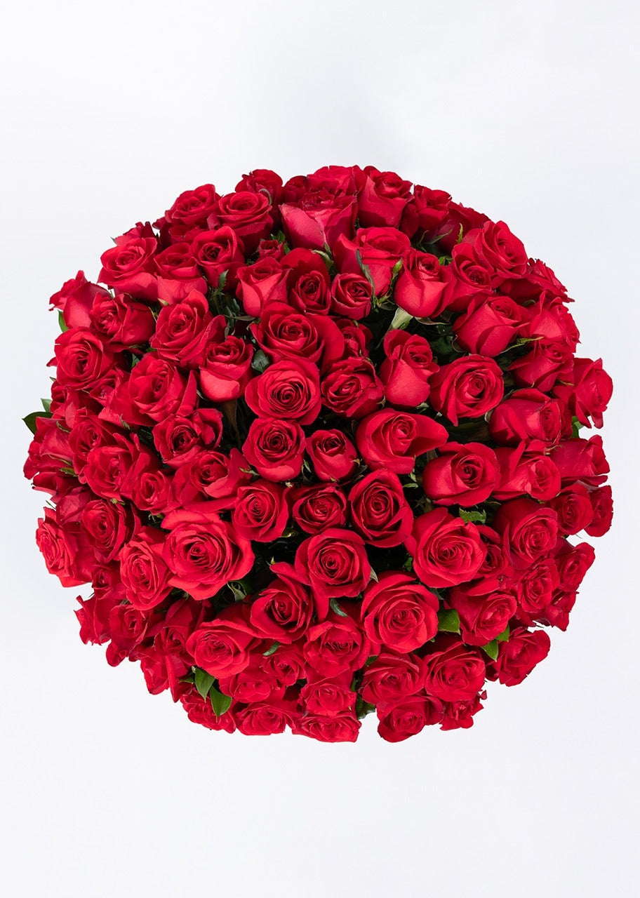 100 rosas rojas en jarrón