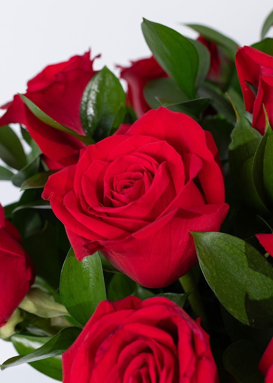 12 rosas rojas en jarrón