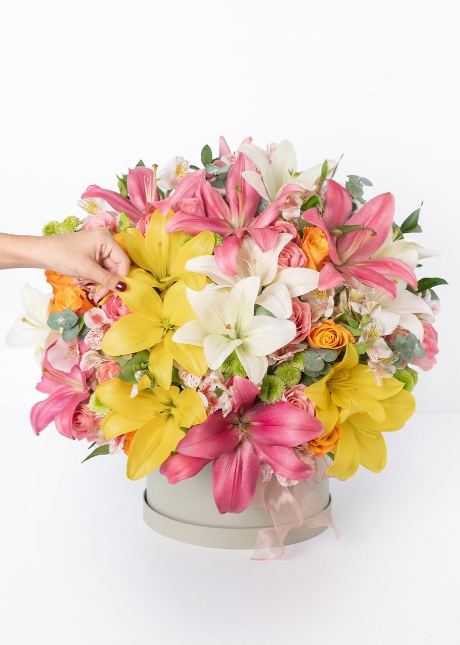 Caja con combinación de lilys
