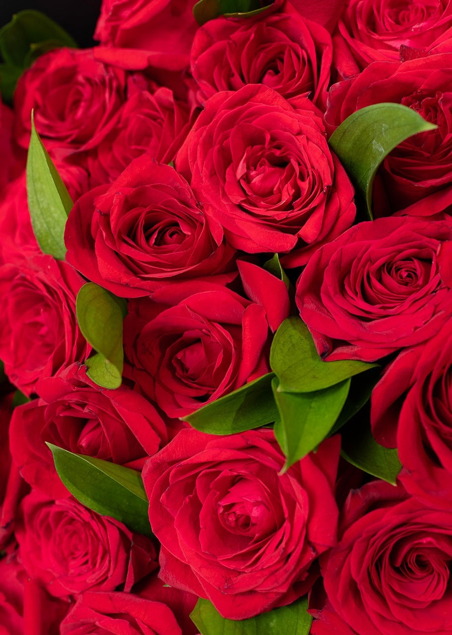 Ramo de 50 rosas rojas