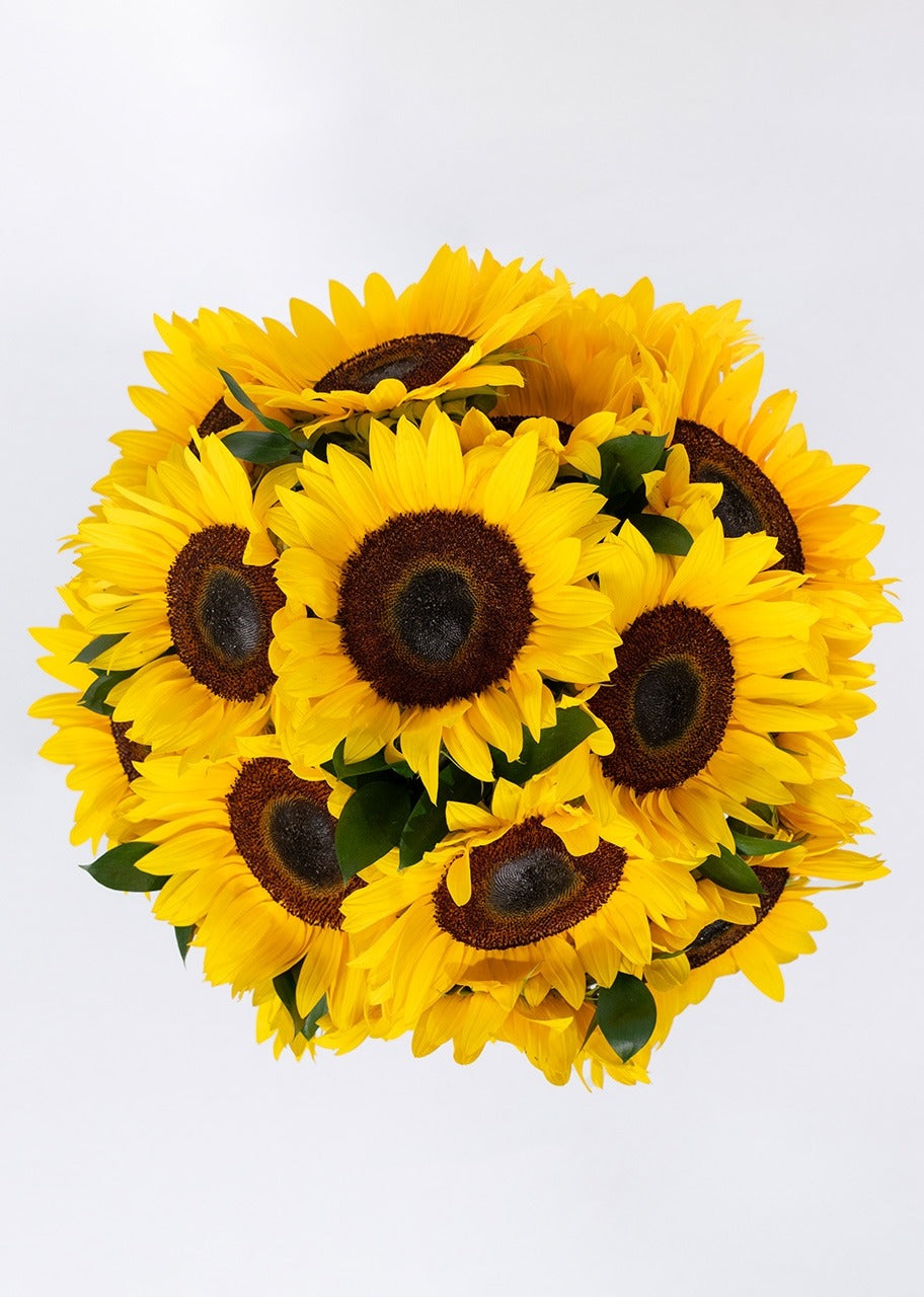 15 girasoles en jarrón