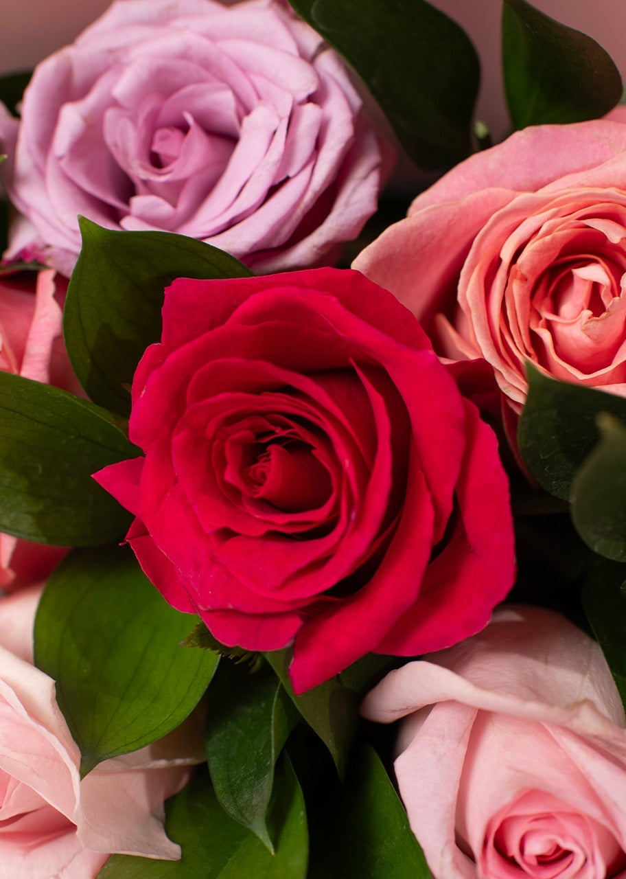 Ramo de 24 rosas de colores