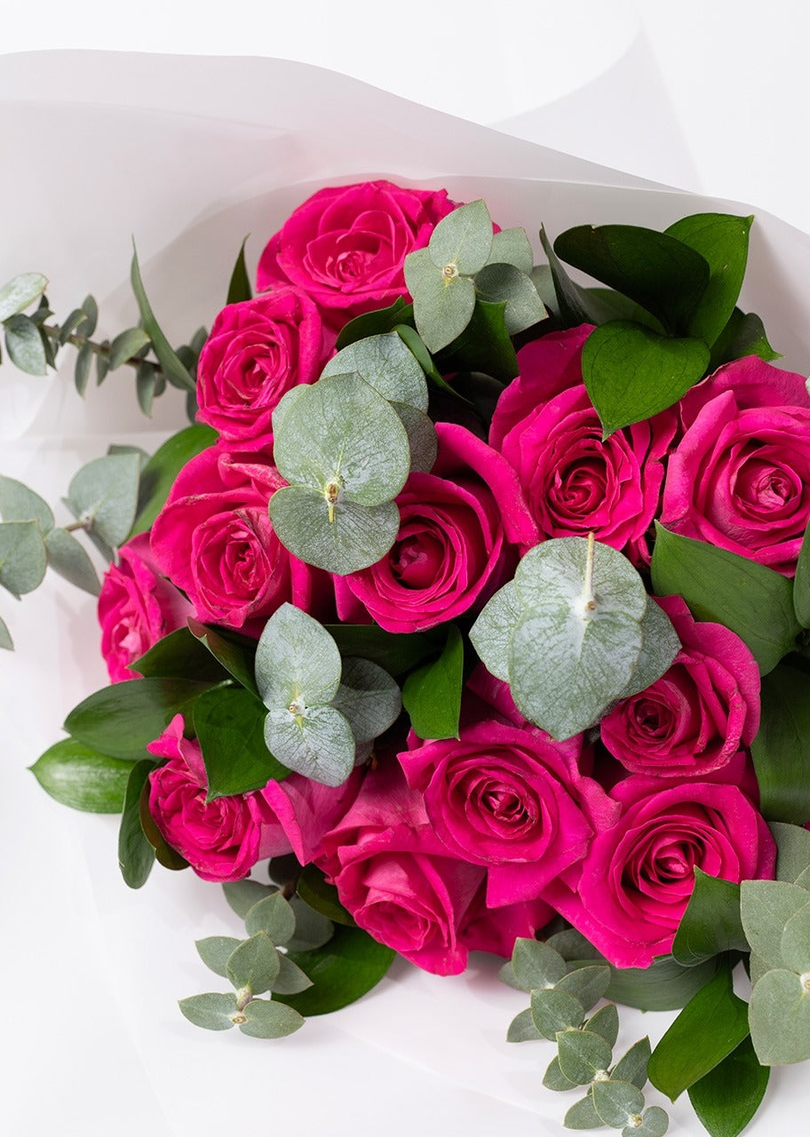Ramo de 12 rosas fucsia