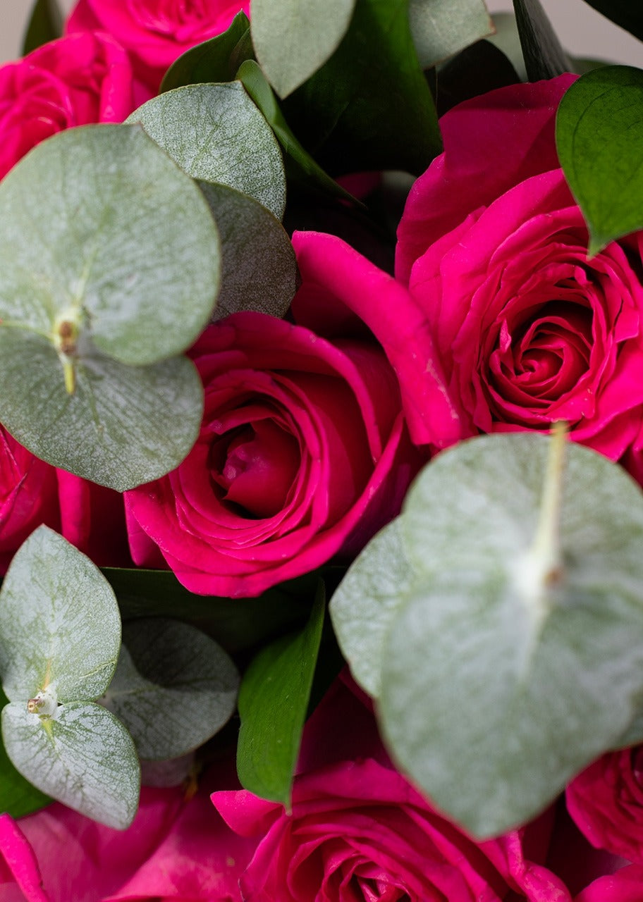 Ramo de 12 rosas fucsia