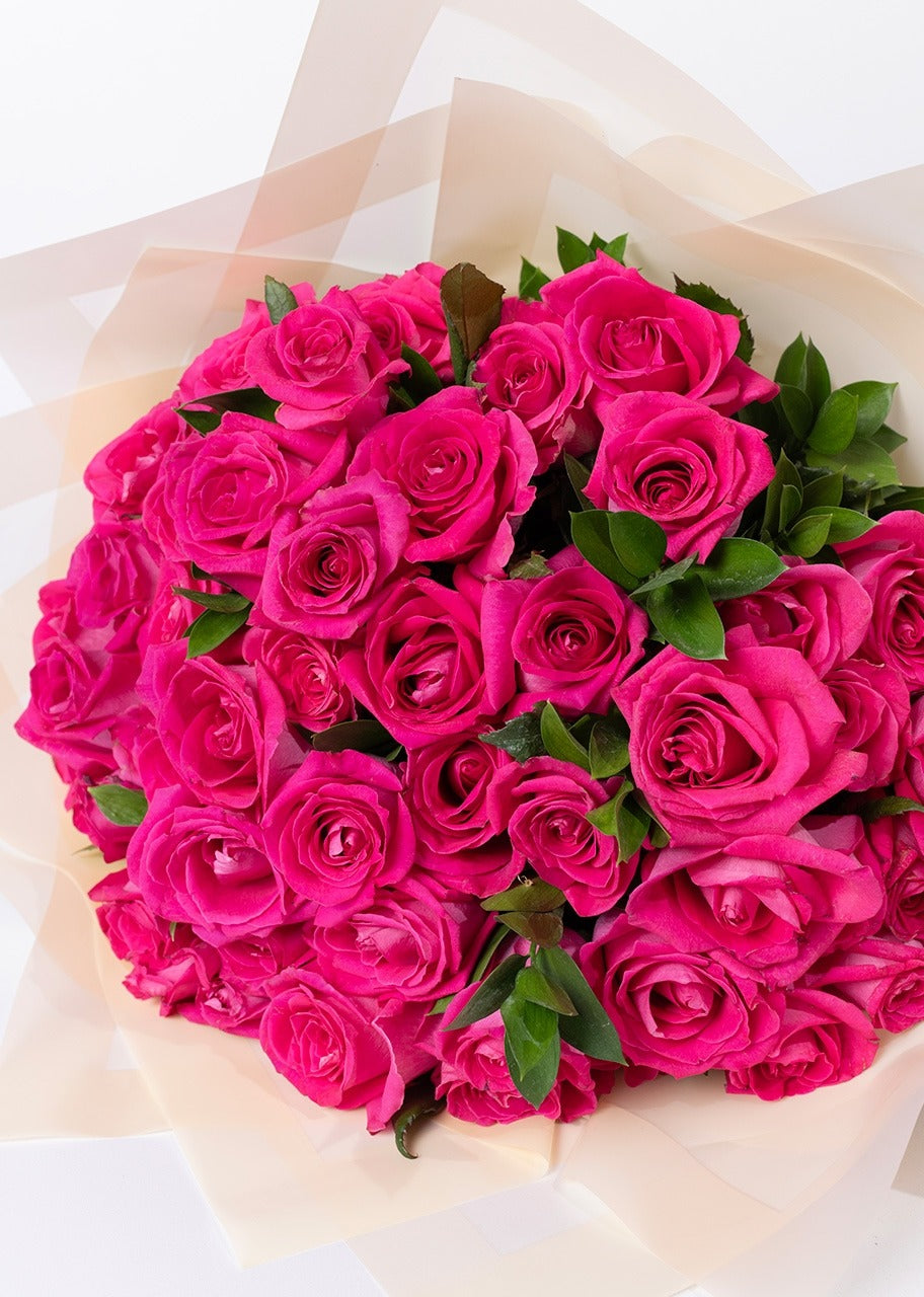Ramo de 50 rosas fucsia