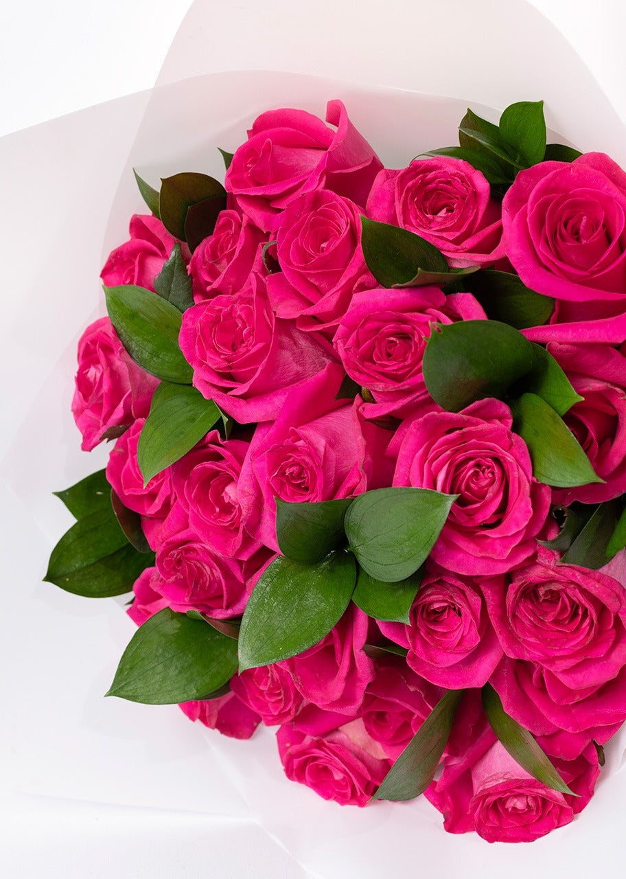 Ramo de 24 rosas fucsia