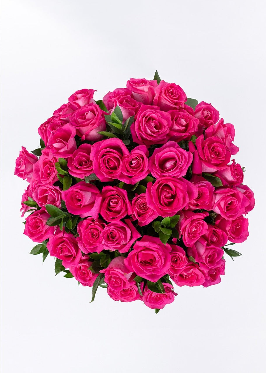 Ramo de 50 rosas fucsia