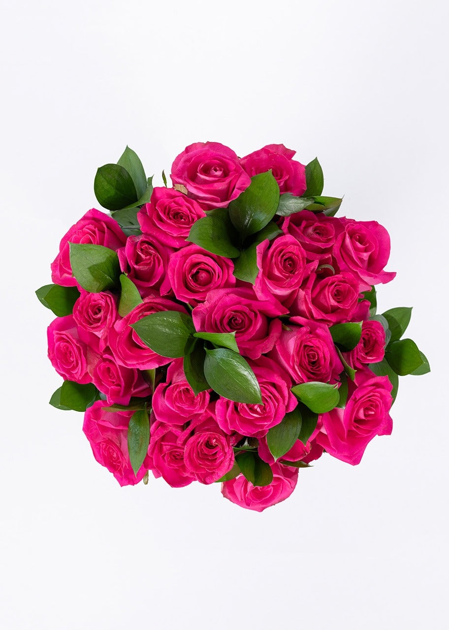 Ramo de 24 rosas fucsia