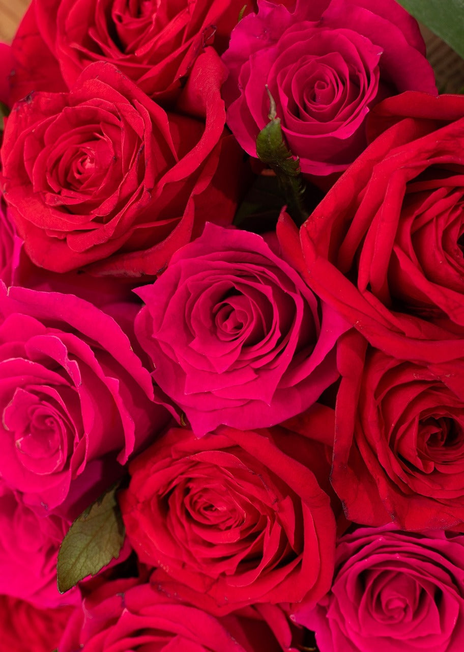Ramo de 24 rosas rojas y fucsia