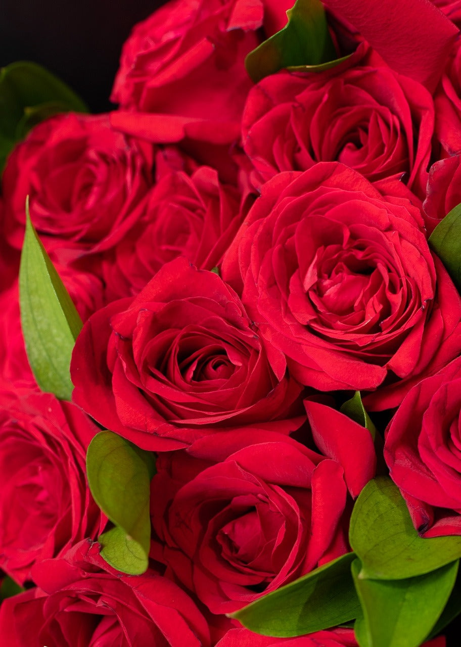 Ramo de 24 rosas rojas