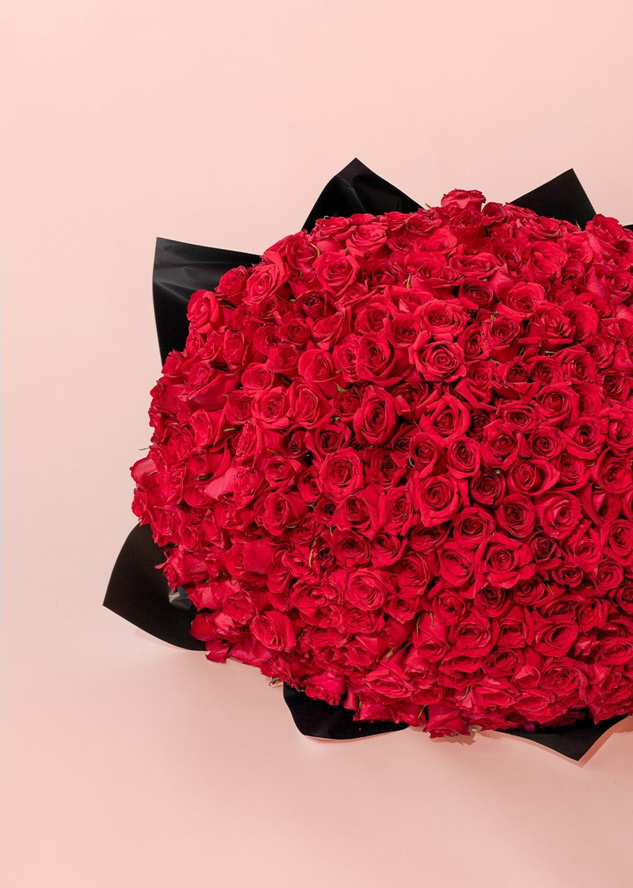 Ramo de 500 rosas rojas