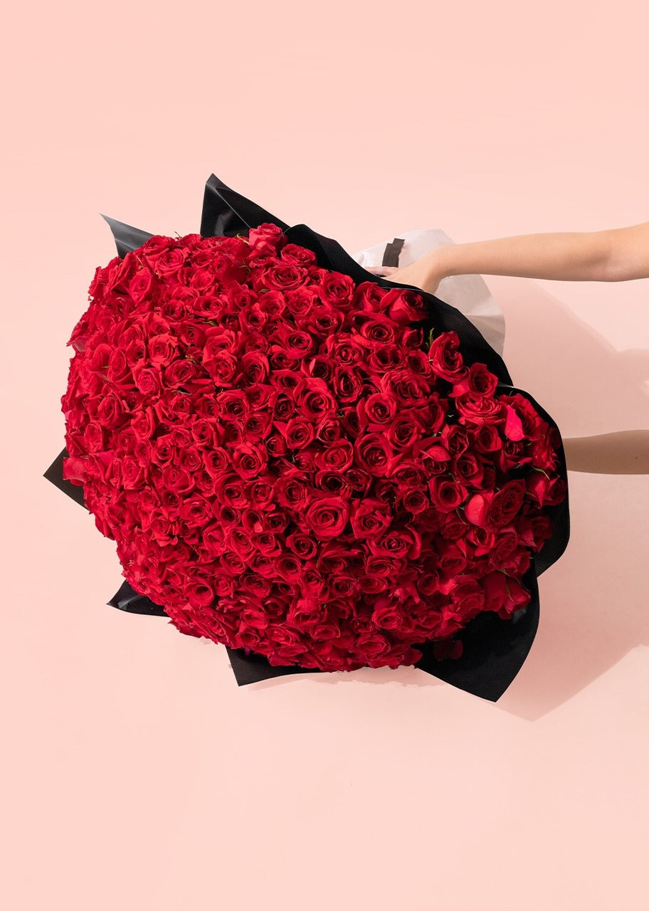 Ramo de 500 rosas rojas