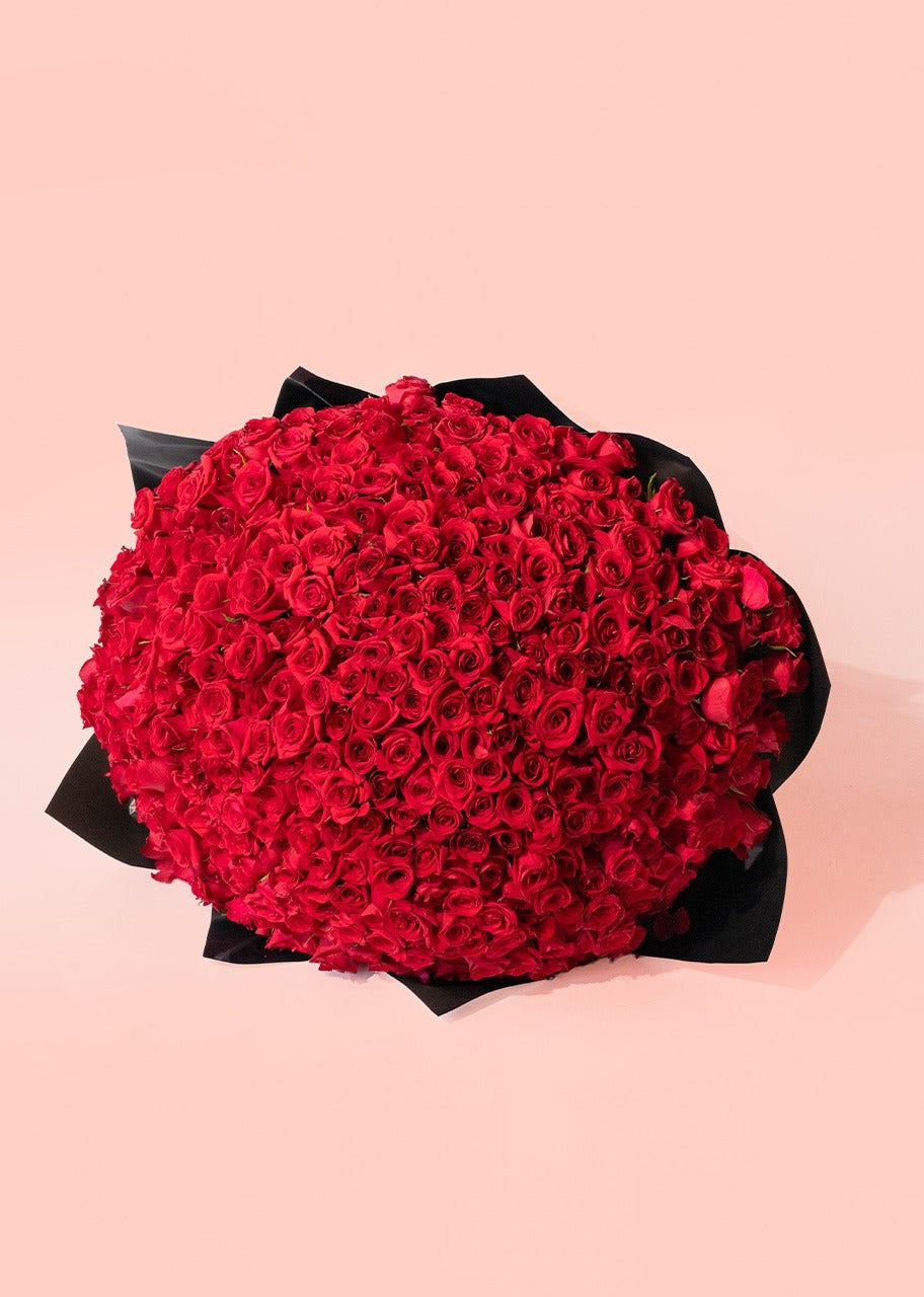 Ramo de 500 rosas rojas