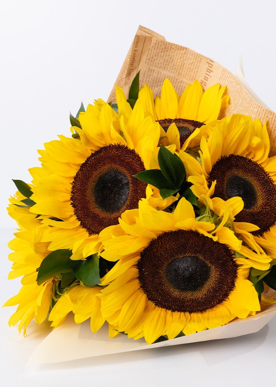 Ramo de 8 girasoles