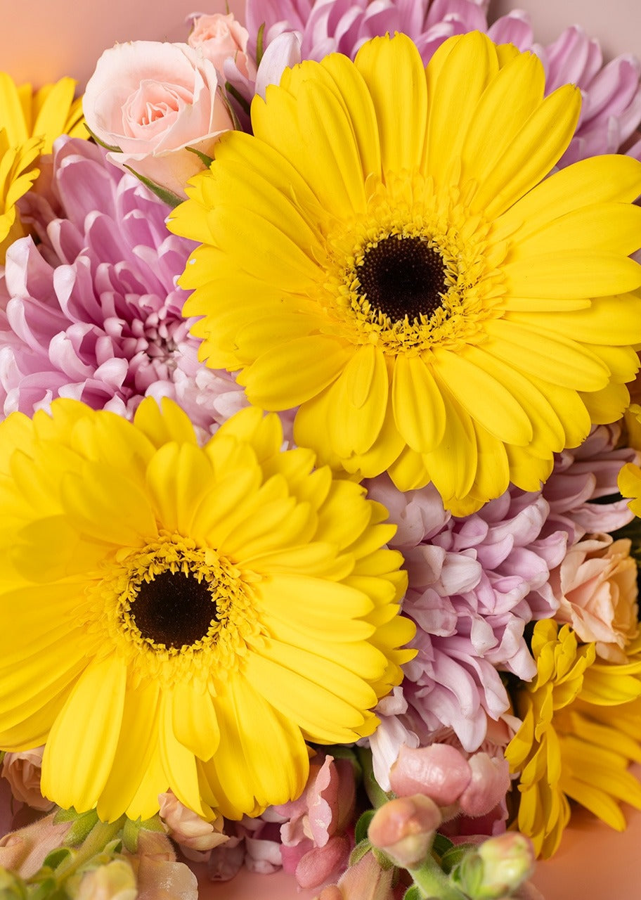 Ramo de 5 gerberas amarillas