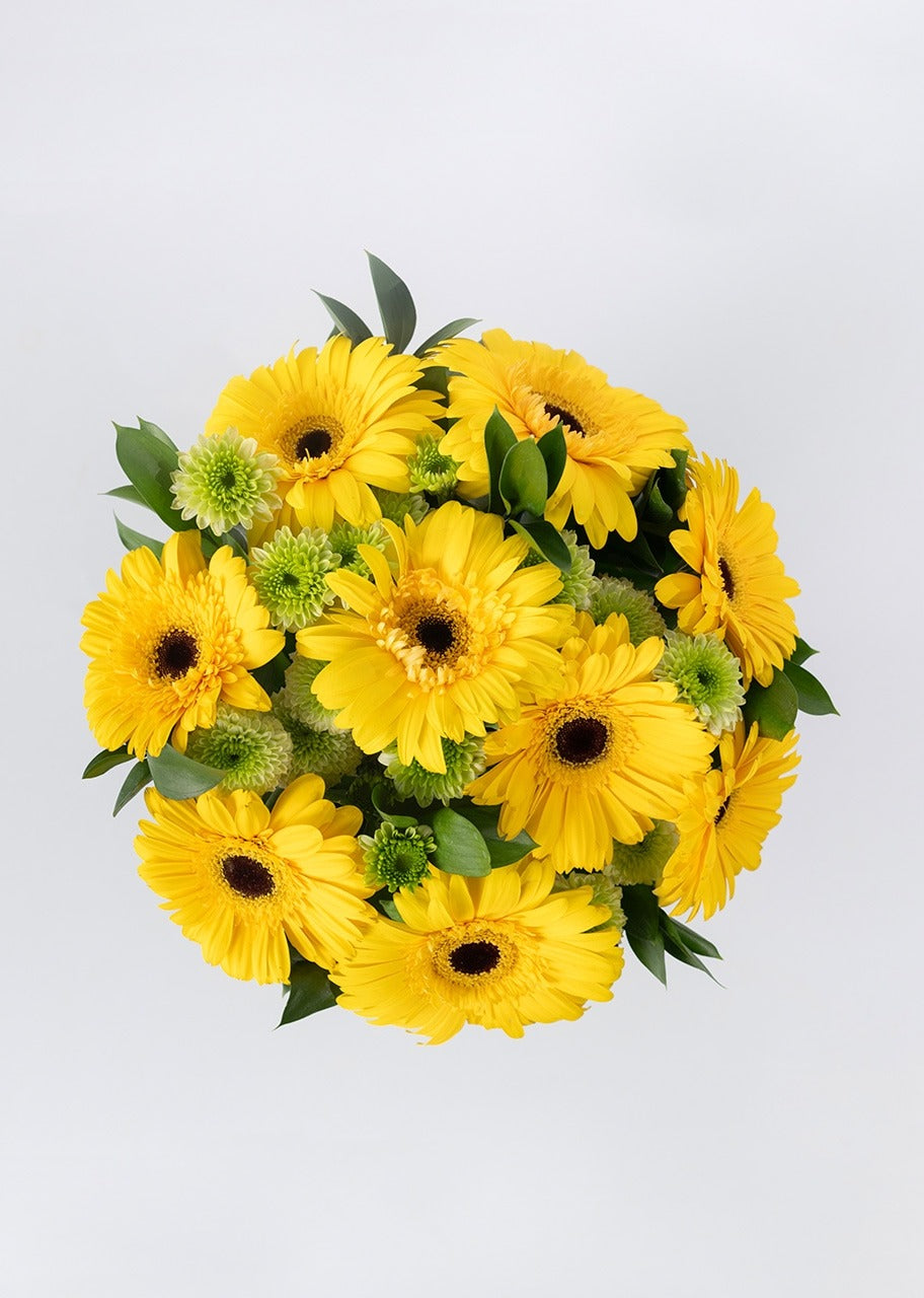 Ramo de 8 gerberas amarillas