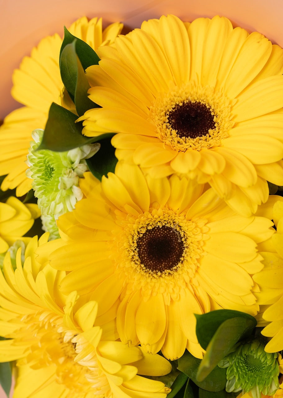 Ramo de 8 gerberas amarillas