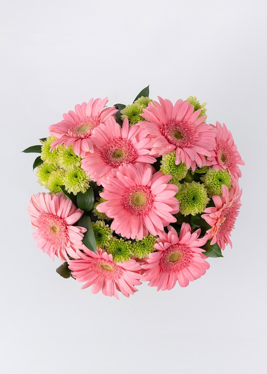 Ramo de gerberas rosas