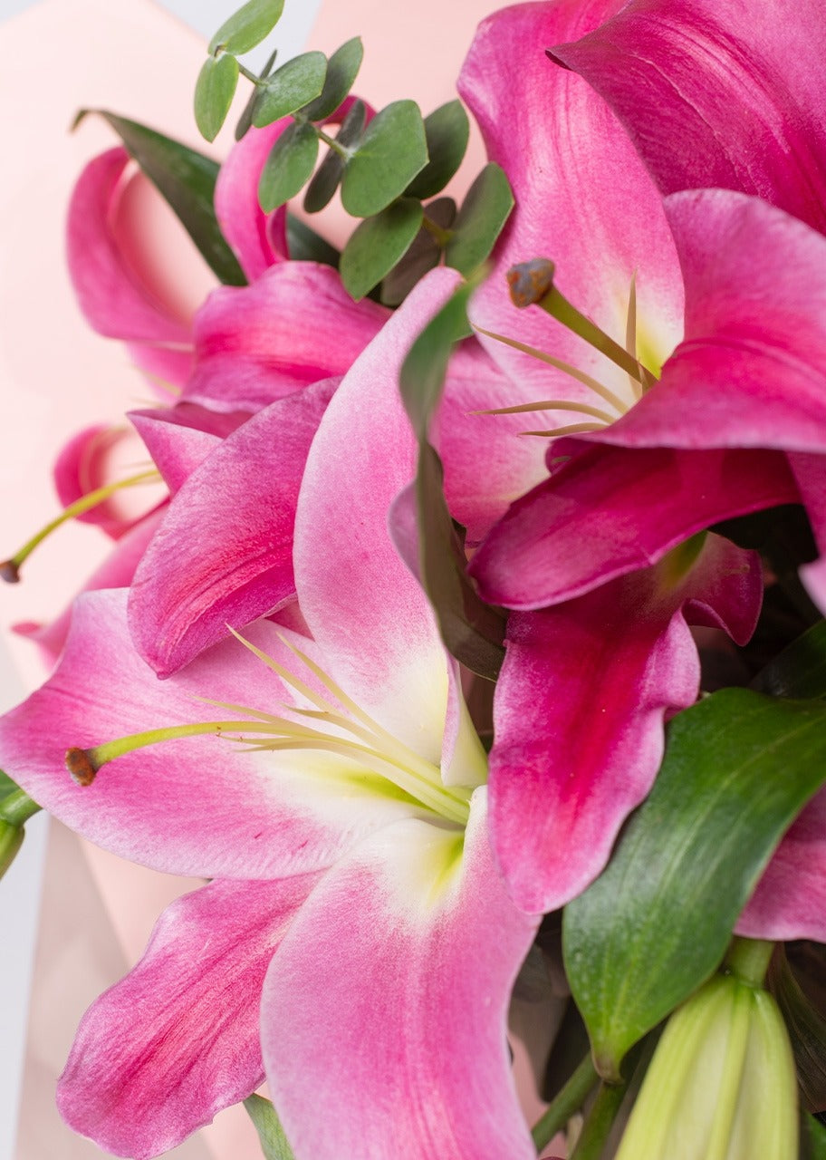 Ramo de stargazer rosa