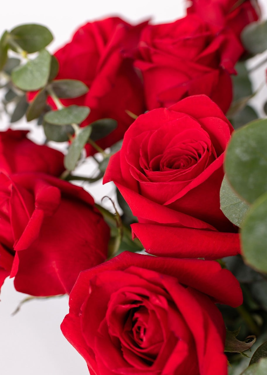 18 rosas rojas en jarrón