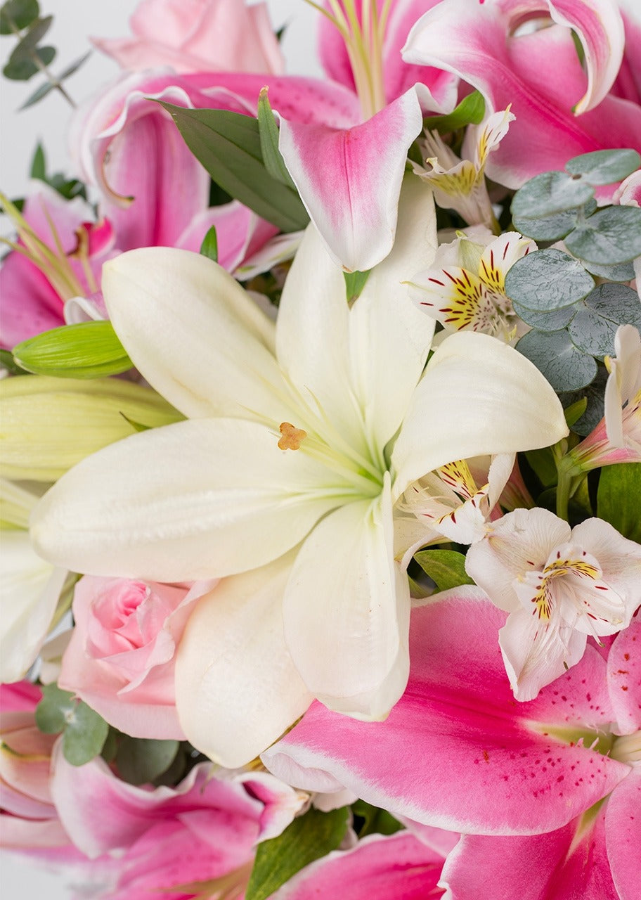 Caja con rosas y stargazer