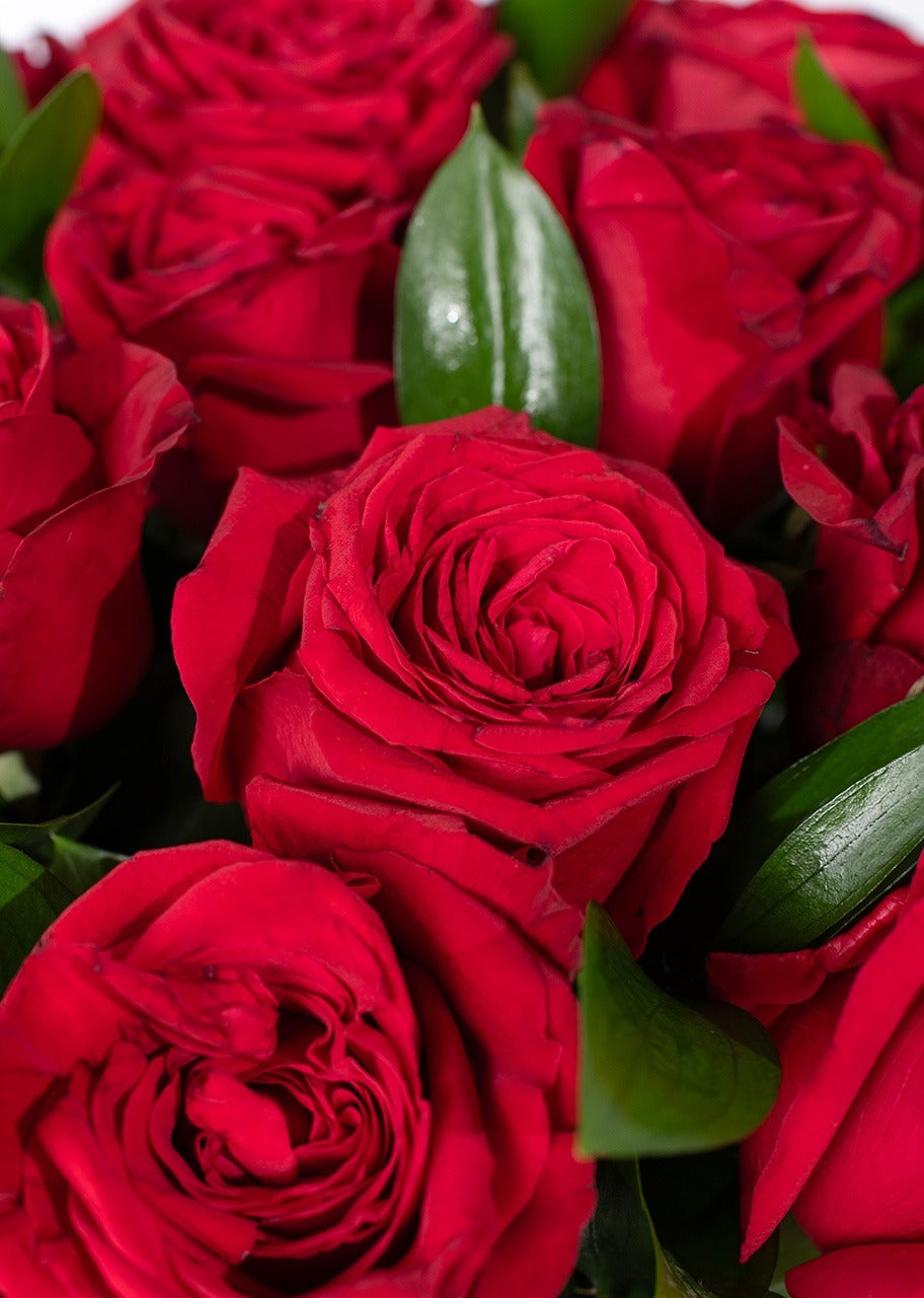 Amor/Aniversario