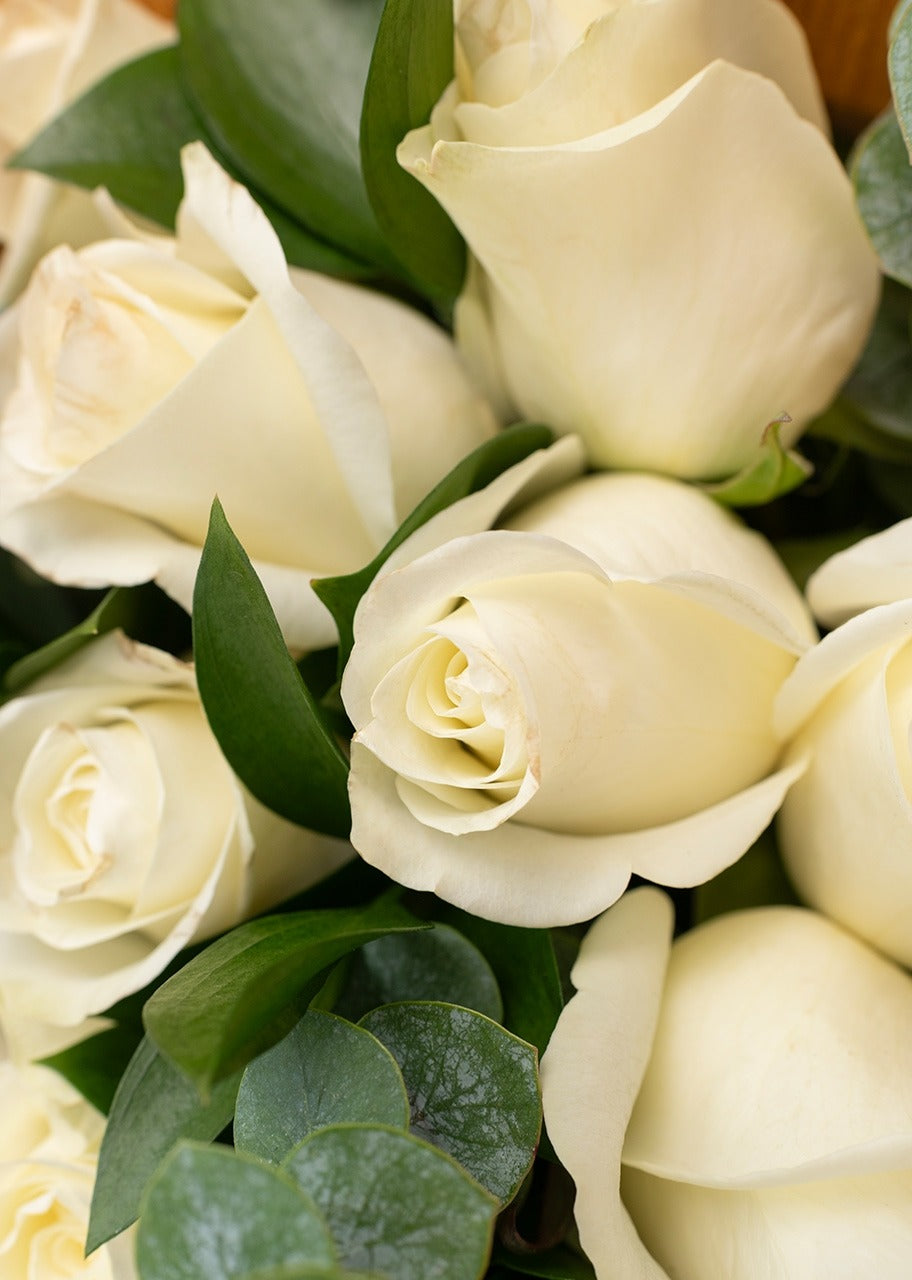 Flores blancas