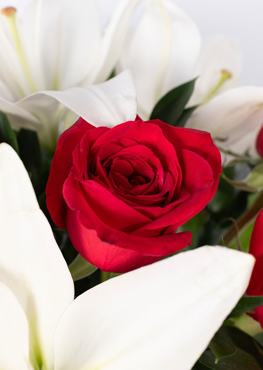 15 rosas rojas y lilys en jarrón