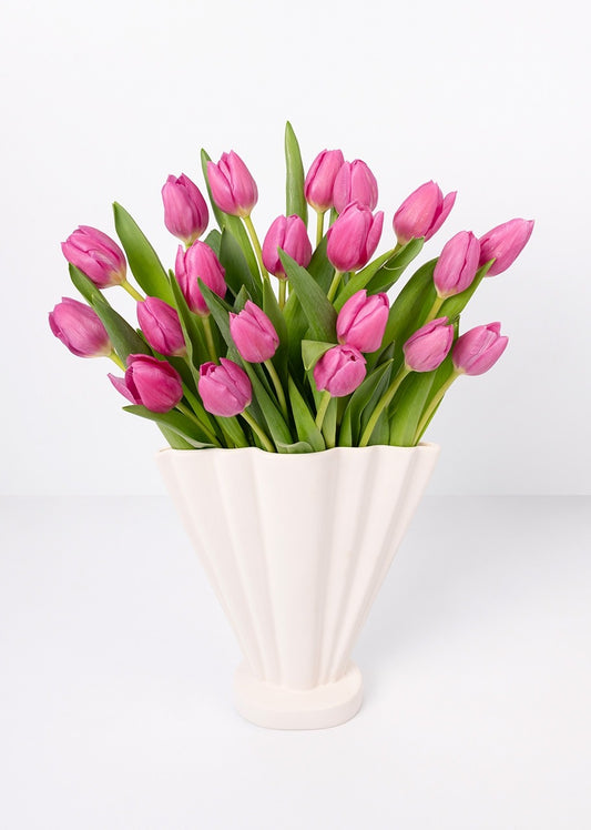 20 tulipanes fucsia en jarrón