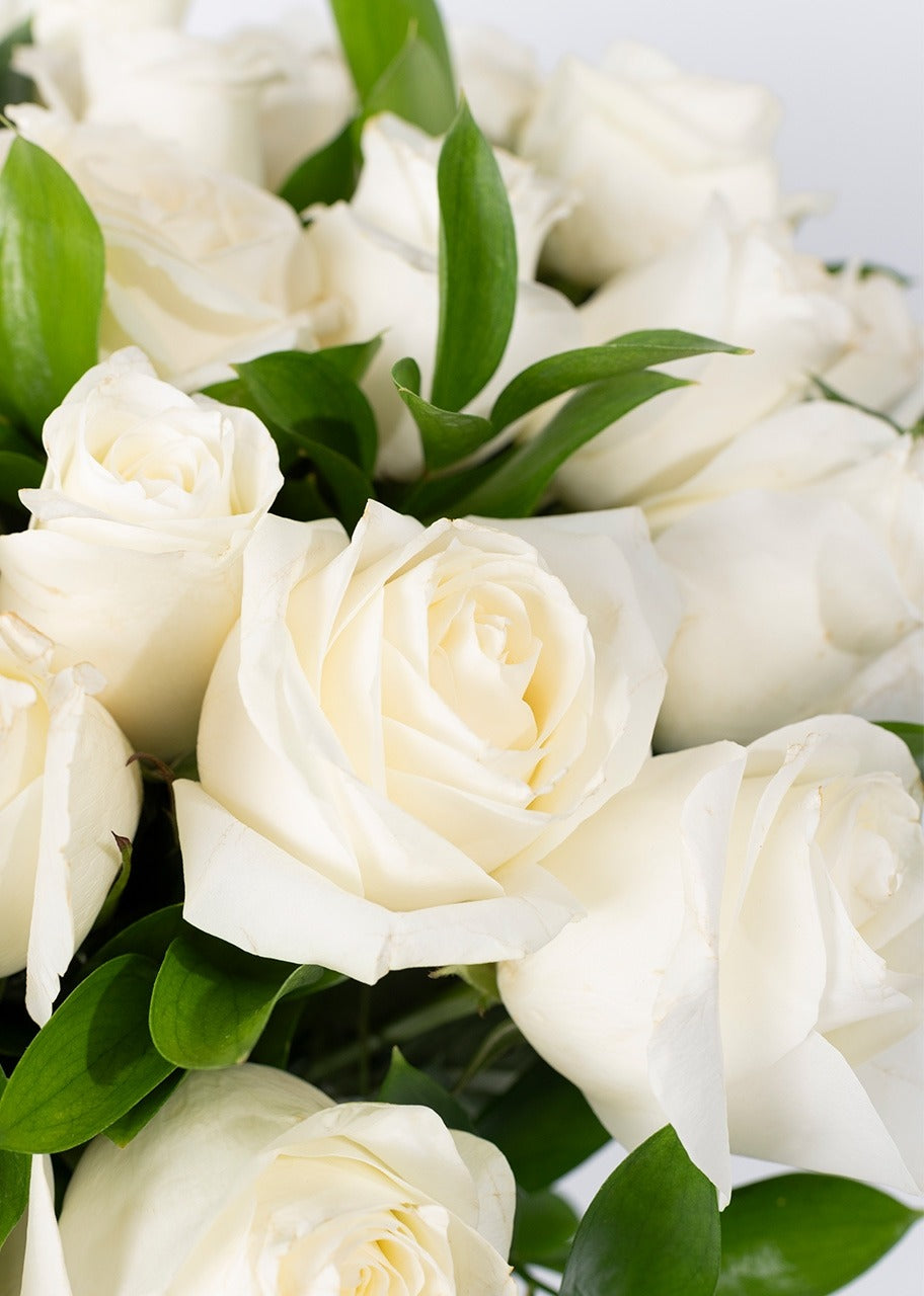 50 rosas blancas en jarrón