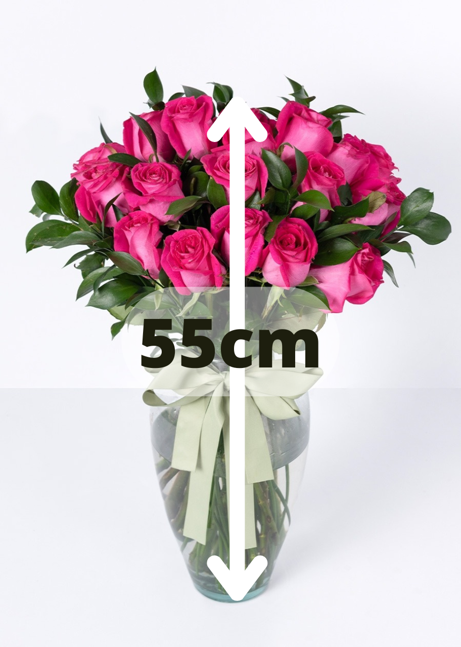 24 rosas fucsia en jarrón
