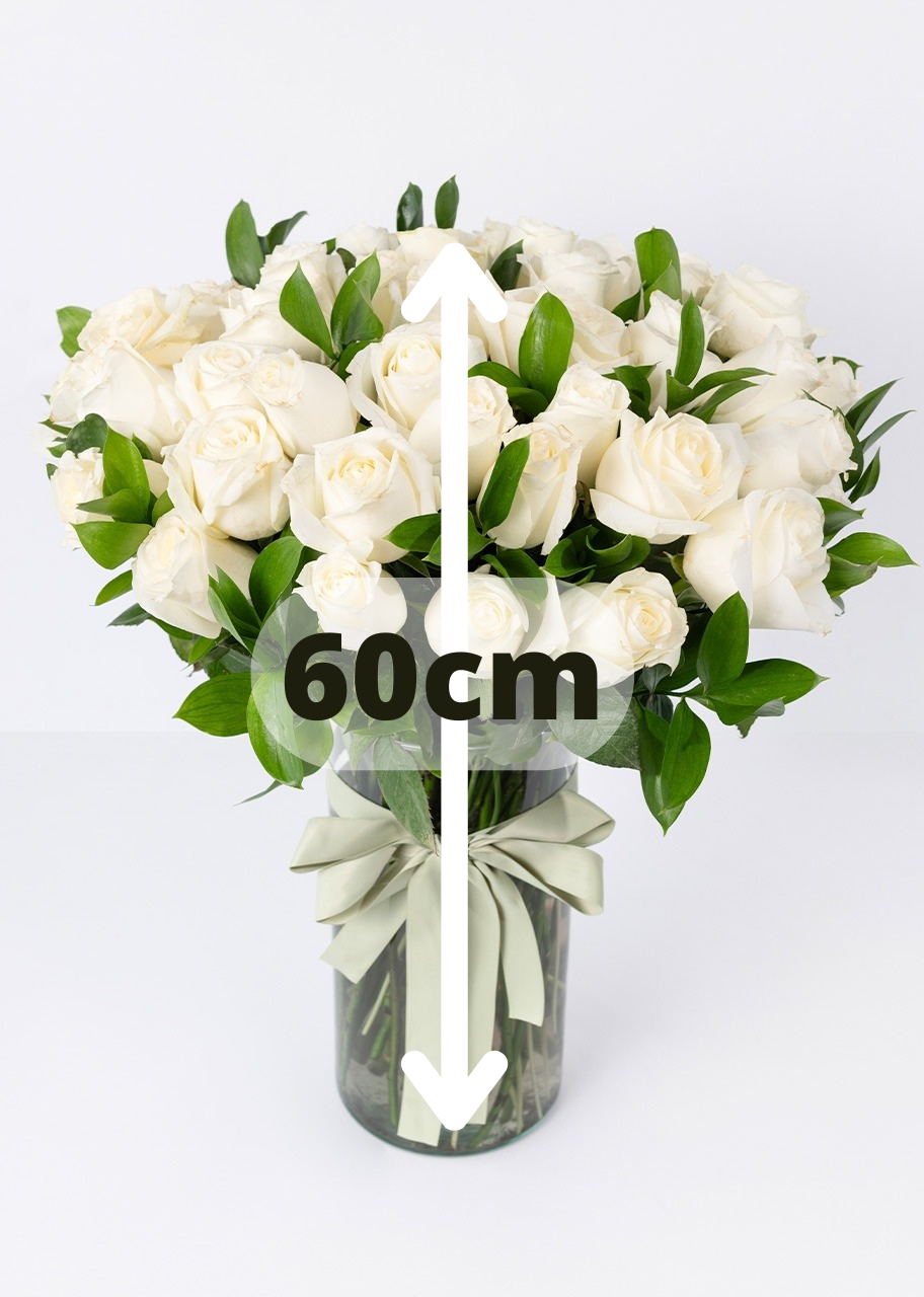 50 rosas blancas en jarrón