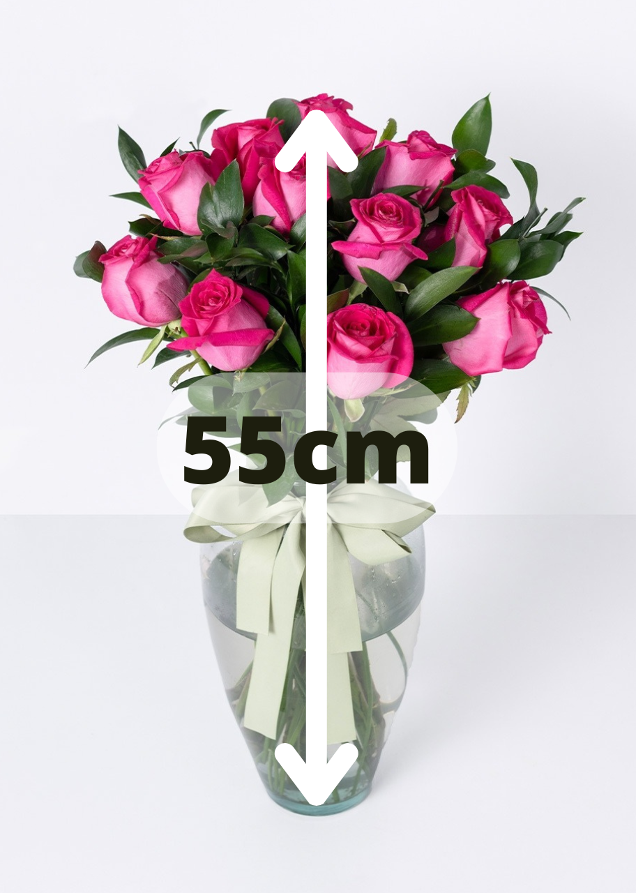 12 rosas fucsia en jarrón